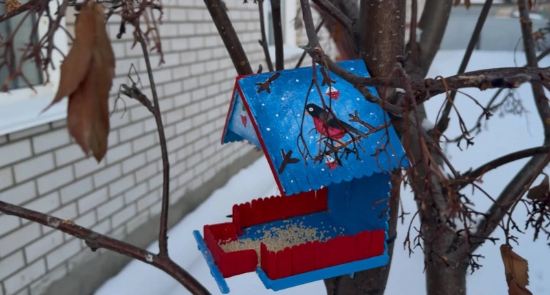 «Кормушка-фест» прошёл в Славгороде