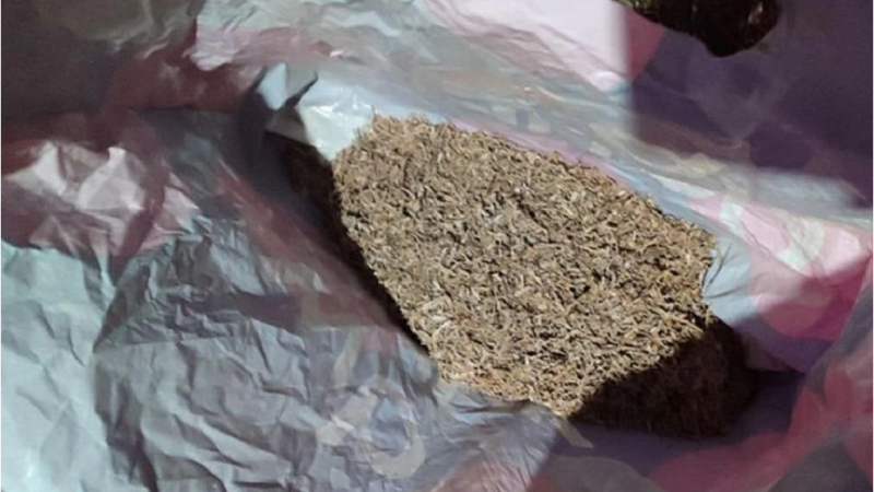 У алтайского сельчанина изъяли почти килограмм марихуаны