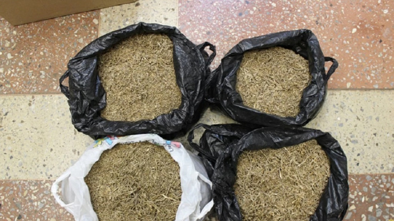 У алтайской сельчанки изъяли почти 3 кг марихуаны
