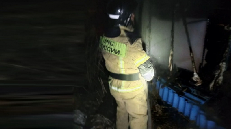 В Алтайском крае на пожаре погиб местный житель