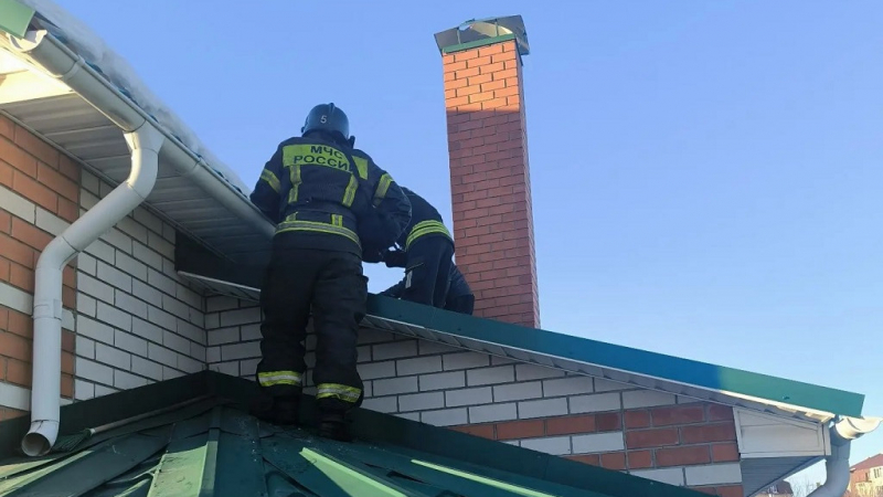 В Барнауле спасатели помогли пенсионеру, застрявшему на крыше