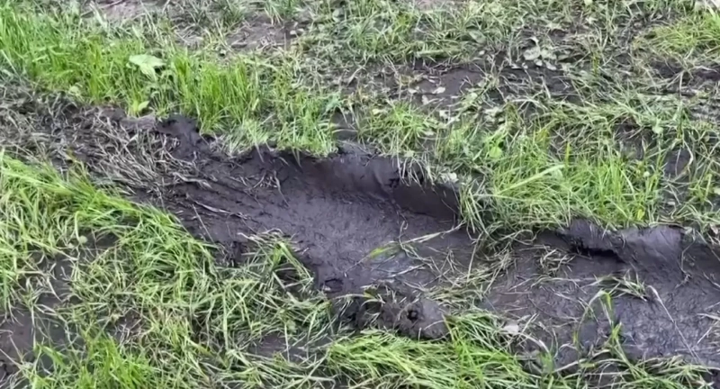 Легкомыслие главного инженера привело к гибели работника в Алтайском крае
