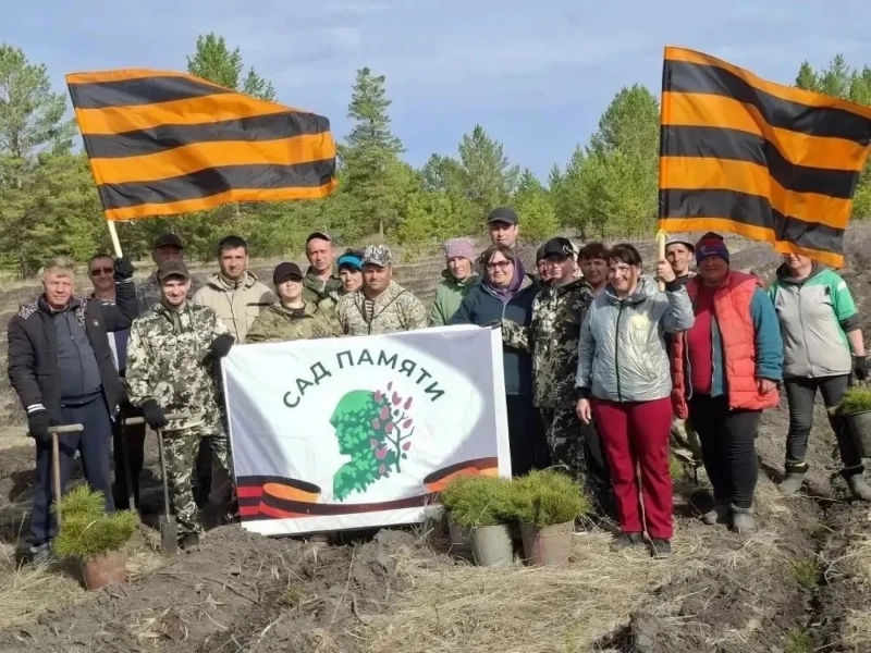 2,1 миллиона сеянцев сосны высадили в рамках акции «Сад памяти» в Алтайском крае