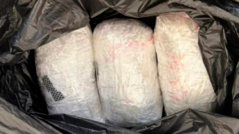 Алтайские полицейские изъяли у двух иностранцев 4,5 кг наркотиков