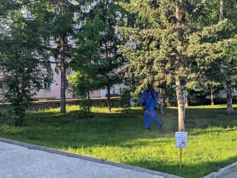 Борьбу с комарами ведут в Барнауле