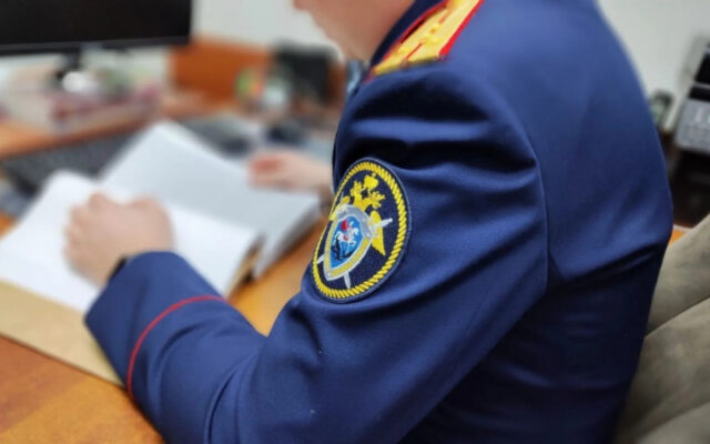 Жительницу Новоалтайска будут судить за попытку убийства сожителя